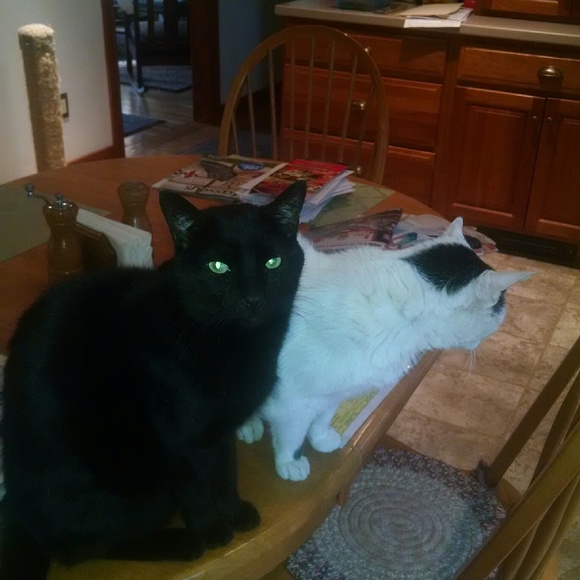 Meet your Posher, Cheryl - Picture 1 of 1